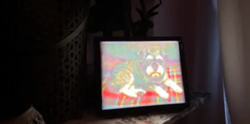 Foto van een 4-kleuren lithofaan dat een hond afbeeld