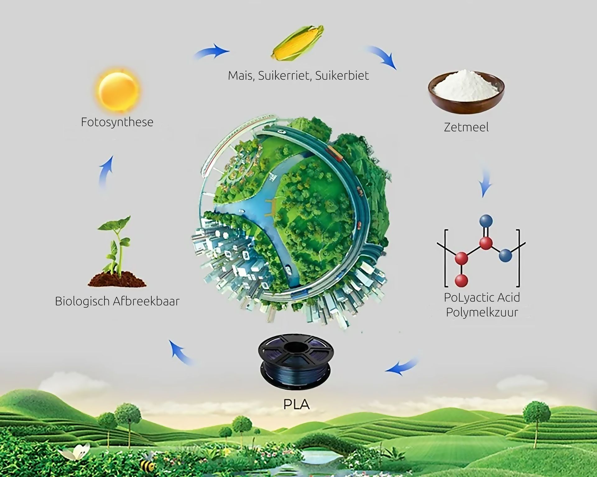 schematische voorstelling van de circulaire productie