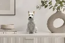 Oscar.webp